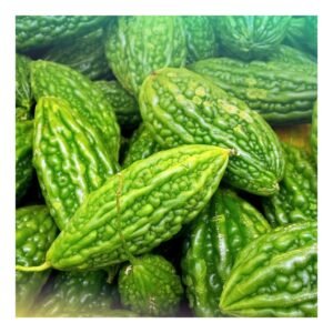 Bitter Gourd