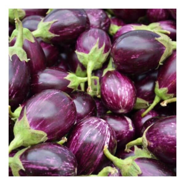 Brinjal