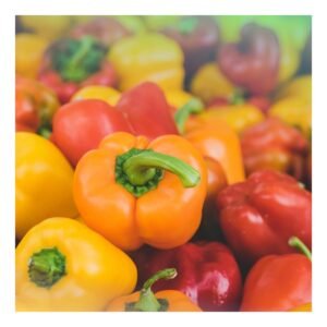 Capsicum
