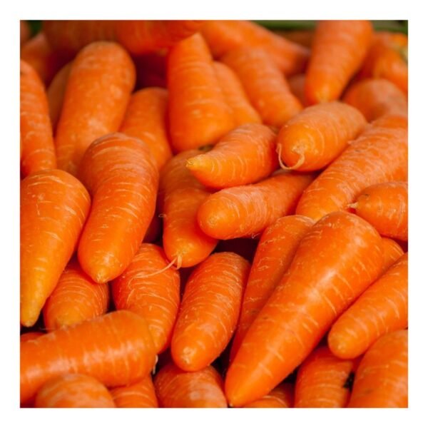 Carrot