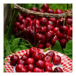 Cherry