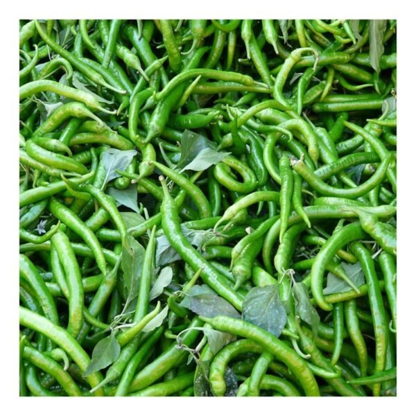 Green Chilli