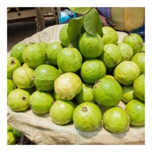 Guava