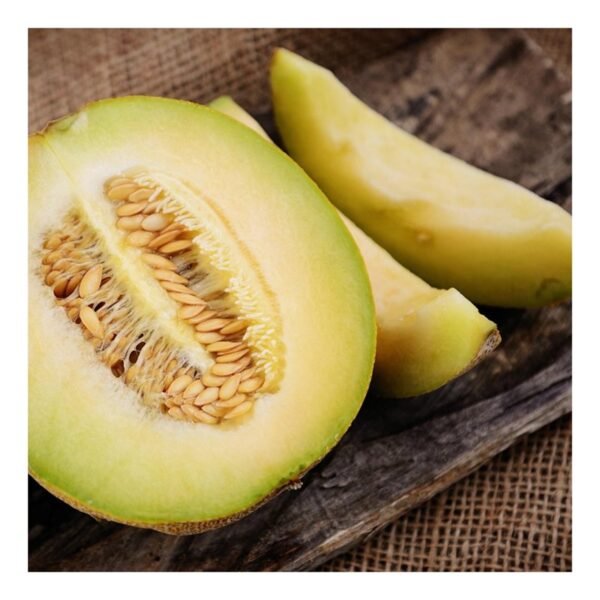 musk_melon Musk Melon
