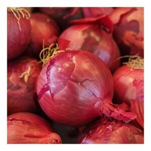 Onion