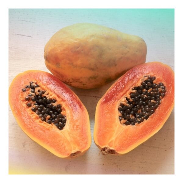papaya Papaya