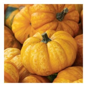 Pumpkin