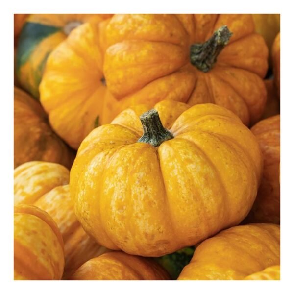 Pumpkin