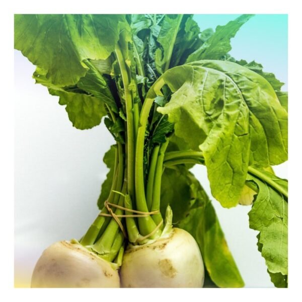 Turnip