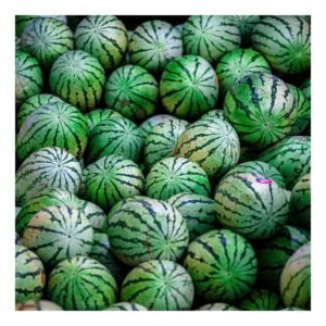 Watermelon